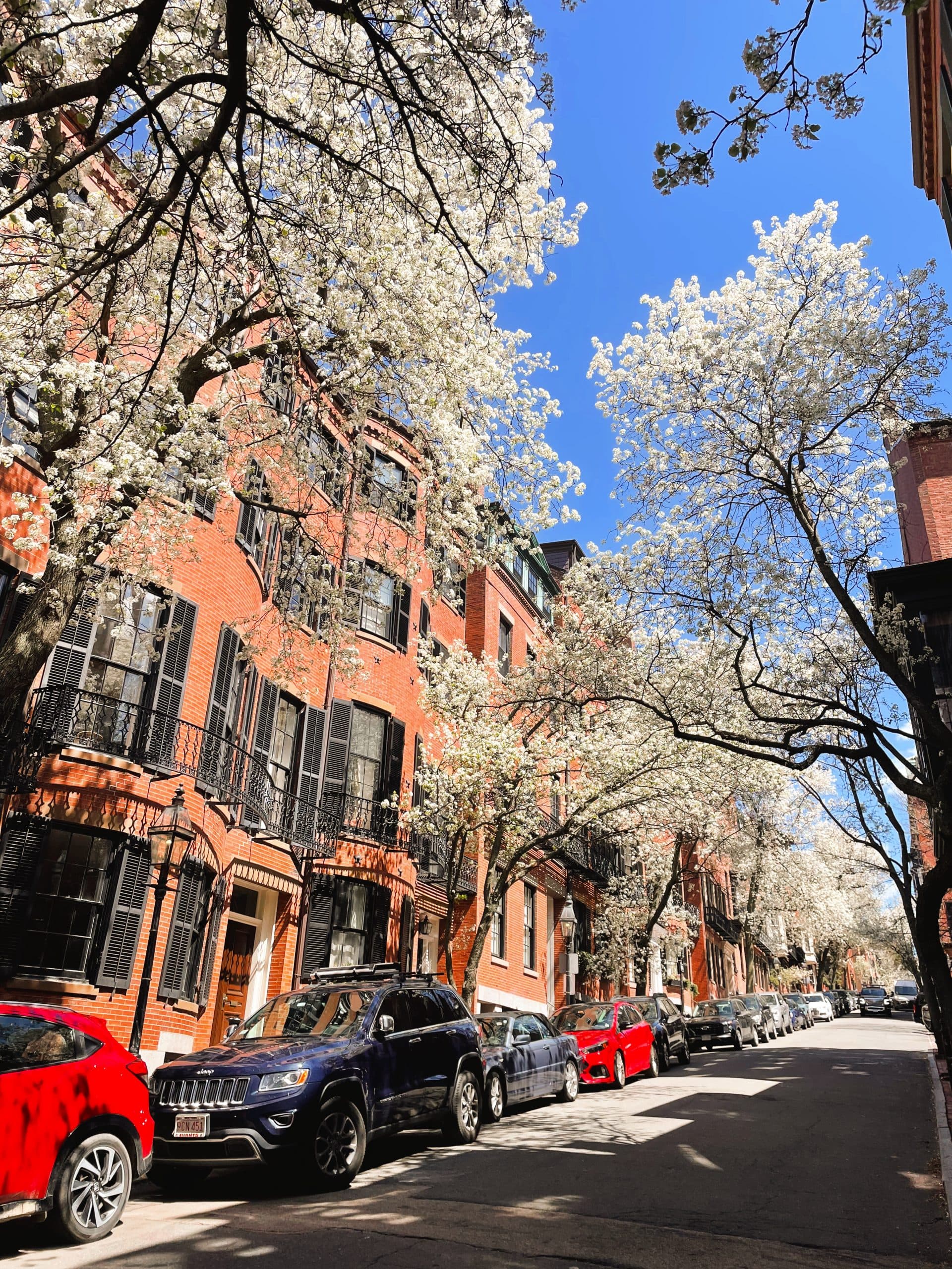 Boston neighborhood street view